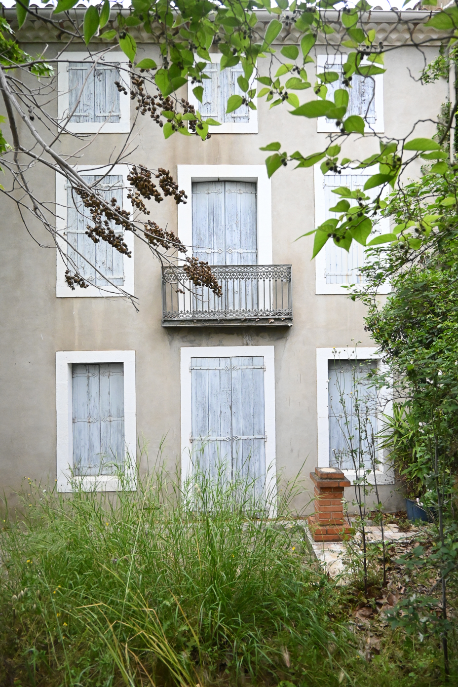 Photo existant facade maison maitre sur cour